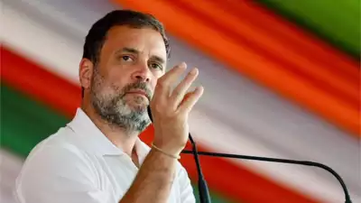 Dalits, tribals, backward and minorities should wake up, raise their voice: Rahul Gandhi