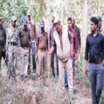 DFO inspected the southern Jolasal forest area