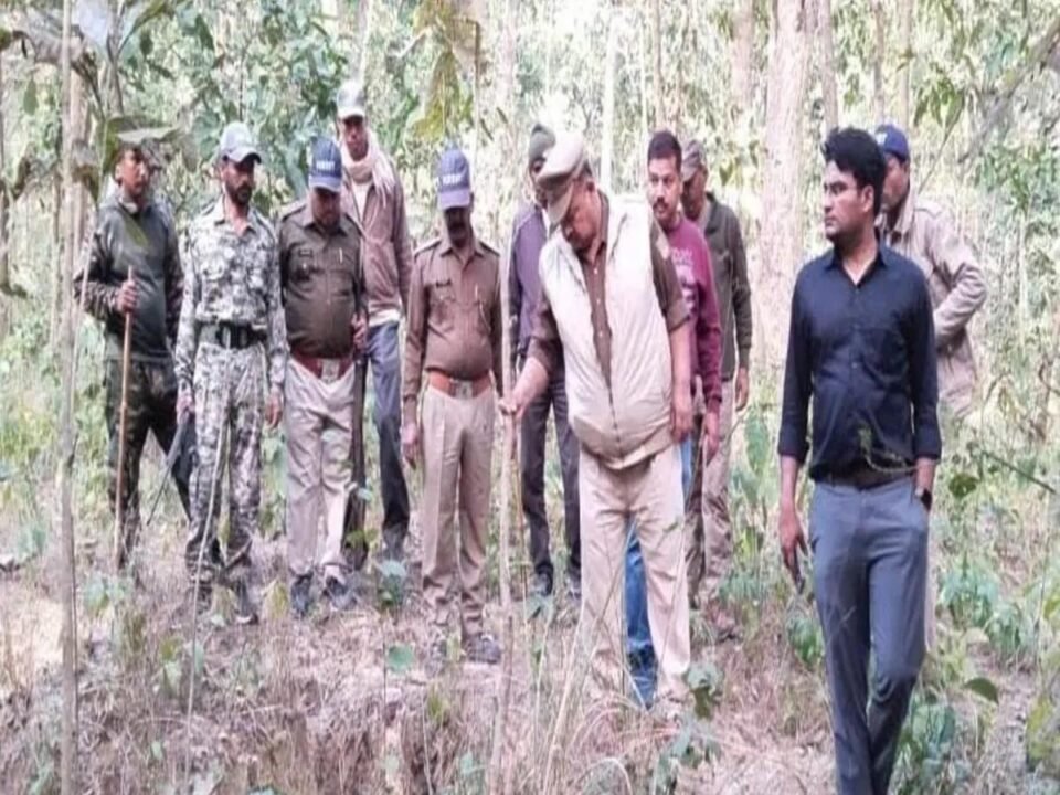 DFO inspected the southern Jolasal forest area