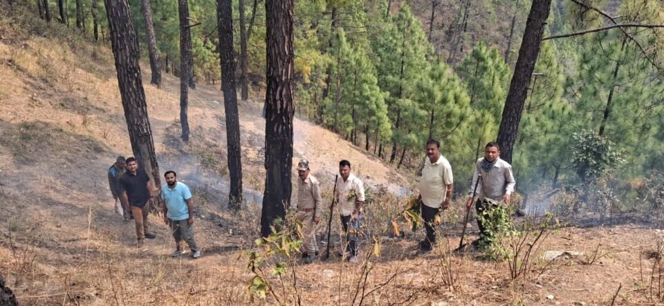 The forest department has brought the fire in Dwarahat forest area under control