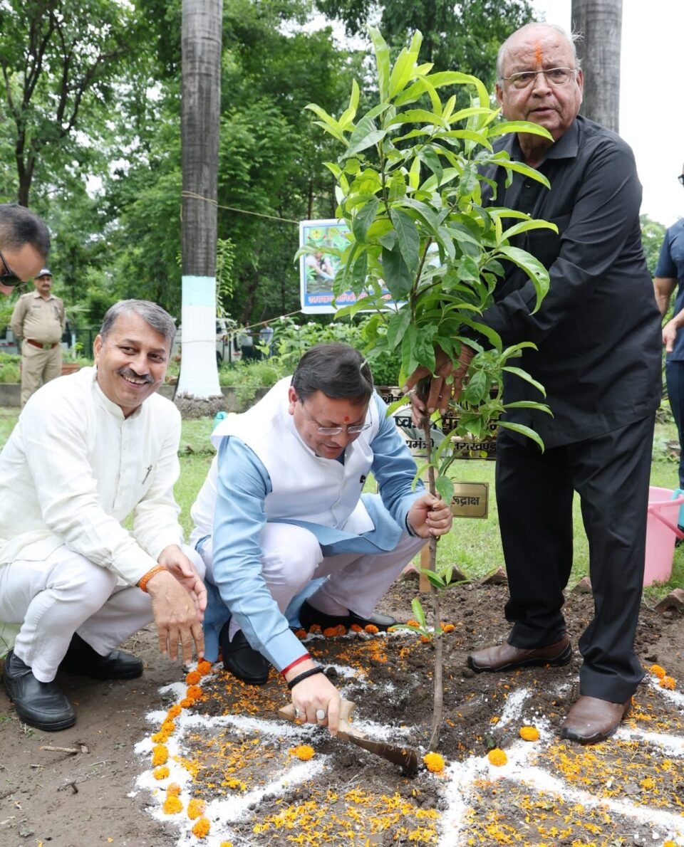 Chief Minister planted a tree under the campaign 'One tree in the name of mother', gave the message of environmental protection