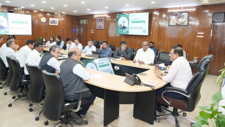 Chief Secretary took a meeting regarding carbon credit