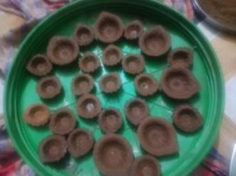 Women made attractive diyas from cow dung.