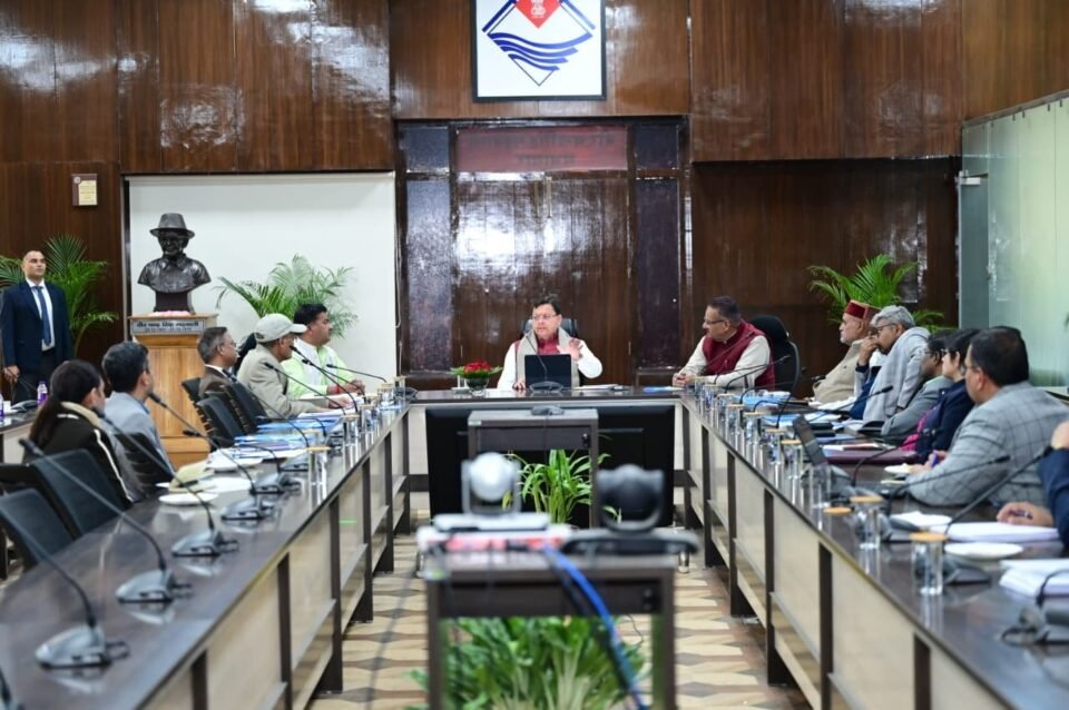 Chief Minister emphasizes the need to focus on innovation, value addition, and marketing in the herbal and medicinal plant sector.