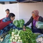 From village soil to city markets Meghalaya farmers find a new platform and a renewed sense of confidence