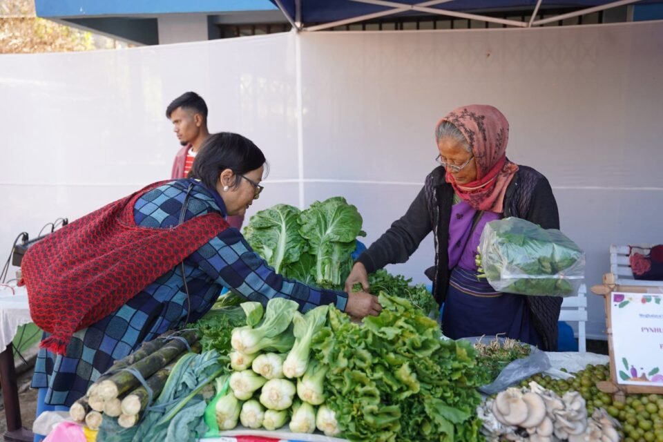 From village soil to city markets Meghalaya farmers find a new platform and a renewed sense of confidence