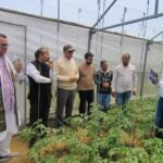 Farmers' Seminar on Balanced Fertilizer Use Organized at Krishi Vigyan Kendra