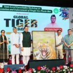 An effective campaign against single-use plastic must be launched with public participation Chief Minister