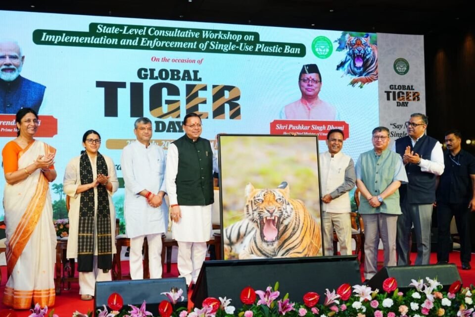 An effective campaign against single-use plastic must be launched with public participation Chief Minister