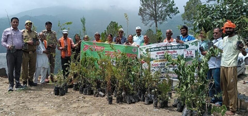 Shri Badrinath Temple Service Committee sets a target of planting 500 trees in a plantation drive.