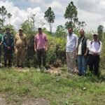 Tree plantation program organized under the 'One Tree in Mother's Name' campaign on the occasion of the Harela festival.