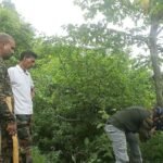 Instructions issued to prevent wildlife attacks in the Mohan area.