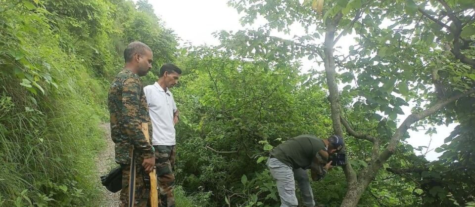 Instructions issued to prevent wildlife attacks in the Mohan area.