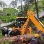 Traffic was disrupted by trees that had fallen onto the road near Rajiv Navodaya Vidyalaya; a fire unit took prompt action to remove them.