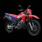 Honda Motorcycle & Scooter India has announced the prices for the XR 300 L and XR 300 Rally; bookings for both models have commenced nationwide.